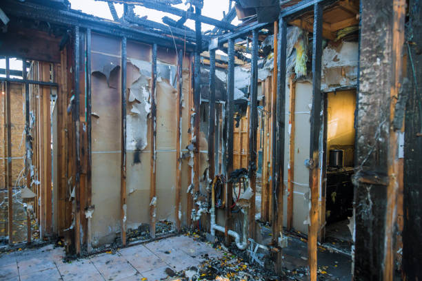 Professional Fire Damage Removal technician working in Severna Park, MD